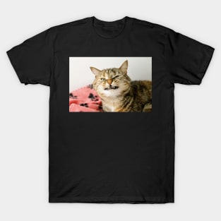 Cheezy Face T-Shirt